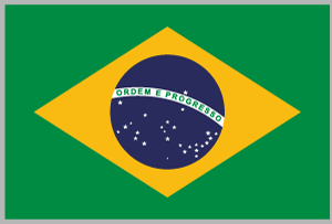 BRL国旗